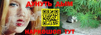 прущие крисы Братск