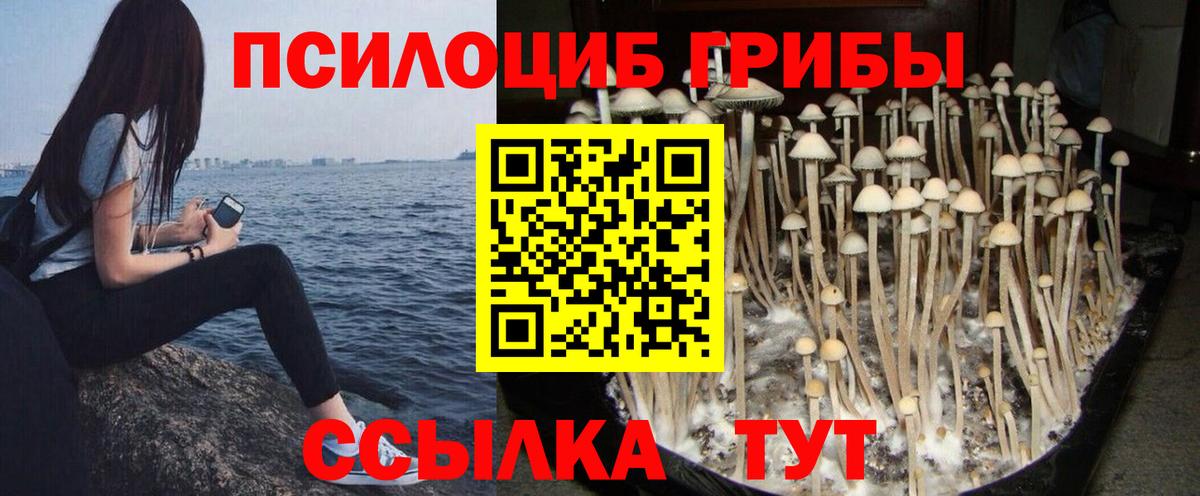 Большой Камень  Галлюциногенные грибы Magic Shrooms  Вход с VPN  Псилоцибиновые грибы прущие грибы 