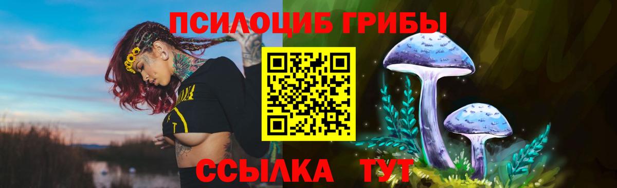 Псилоцибиновые грибы Magic Shrooms Большой Камень